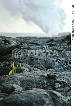 Lava plateau 1510501