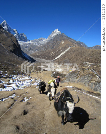 薩加瑪塔國家公園 薩加瑪塔國家公園 1511130