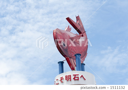 赤石鯛的招牌 1511132