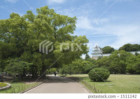 明石公園和明石城堡 明石公園和明石城堡 1511142