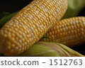 corn  1512763