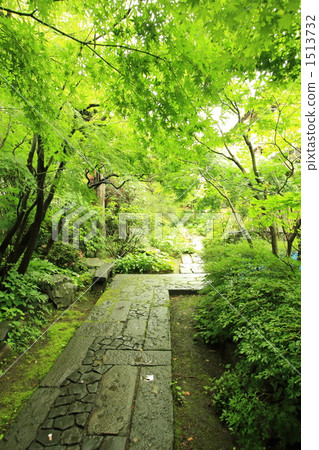 Open Garden 1513732