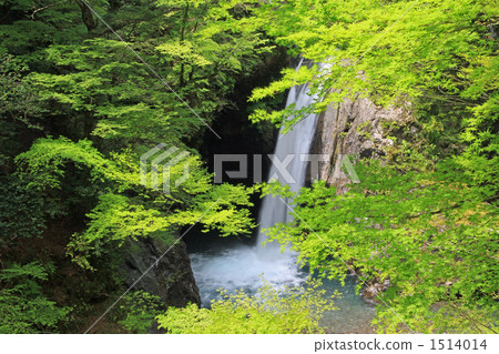 Cauldron waterfall Cauldron waterfall 1514014
