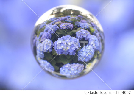 繡球花 大理石透鏡 球體 1514062