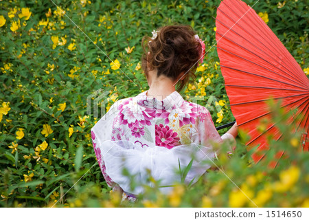 金線梅花和浴衣的女人 1514650