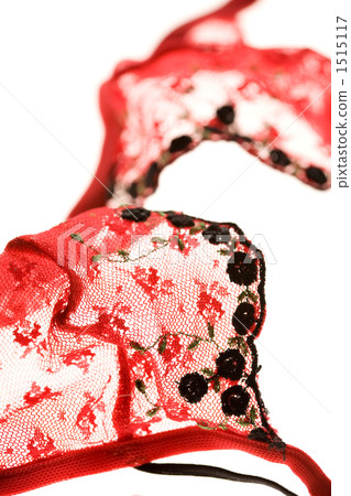 lingerie lingerie 1515117