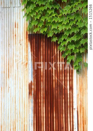 Tin board and ivy Tin board and ivy 1515266