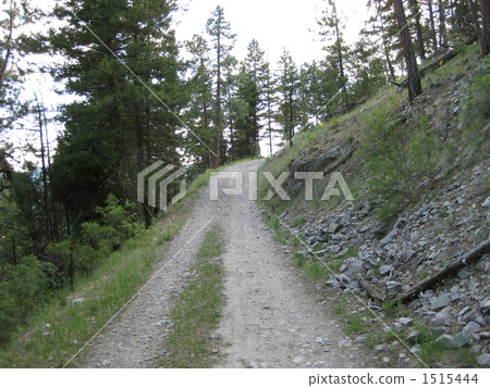 From Mount Sentinel's hiking trail 1515444