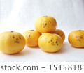 Mandarin oranges 1515818