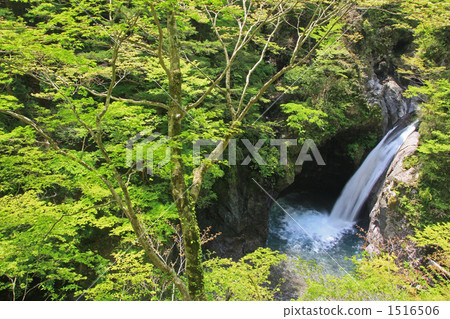 Fresh green cauldron waterfall Fresh green cauldron waterfall 1516506