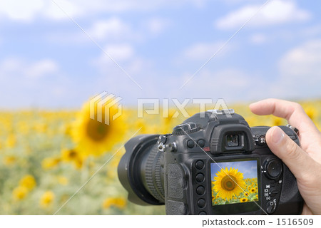 Takarena 0358 Takarena 0358 1516509