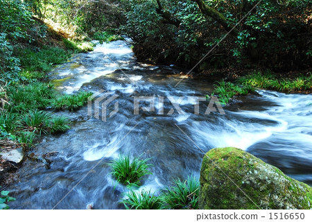 At Shirakawa water source 1516650