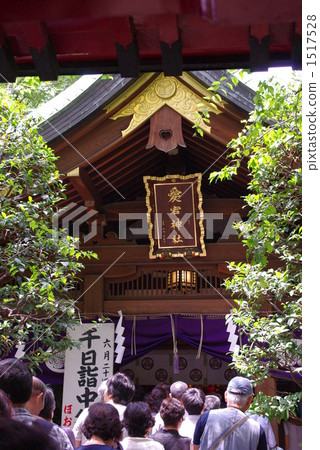 一千天的慶祝活動 1517528