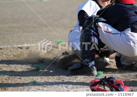 Juvenile baseball Juvenile baseball 1518967