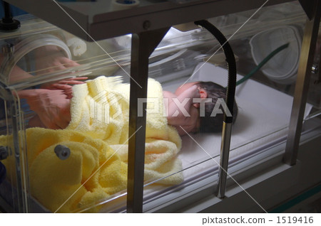 Newborn in an incubator Newborn in an incubator 1519416