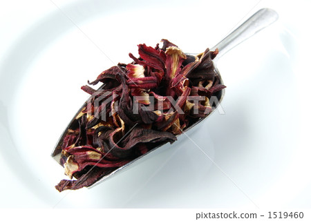 芙蓉茶 1519460