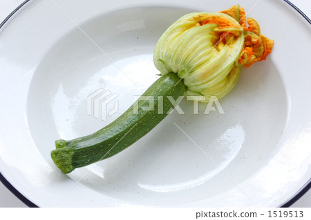 Flower Zucchini Flower Zucchini 1519513