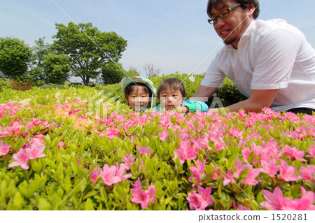 family, household, daddy 1520281