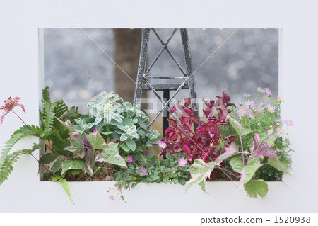 Flower forehead 1520938