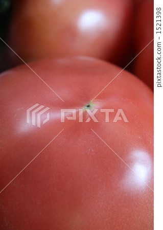 西紅柿 番茄 舉起 1521398