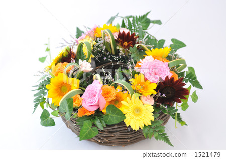 插花藝術 非洲菊 花朵 1521479