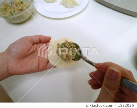 手工製作的餃子 1522026