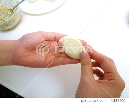 Handmade dumplings 1522031