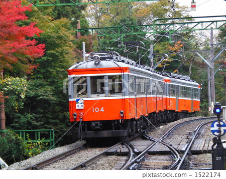 Autumnal leaves and Hakone Tozan Railway Vehicle Autumnal leaves and Hakone Tozan Railway Vehicle 1522174