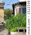 Awajishima的風景 1522598