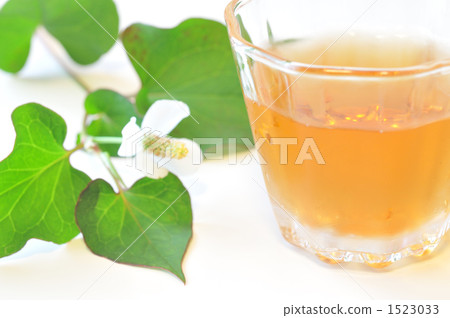 Dokudami tea 1523033