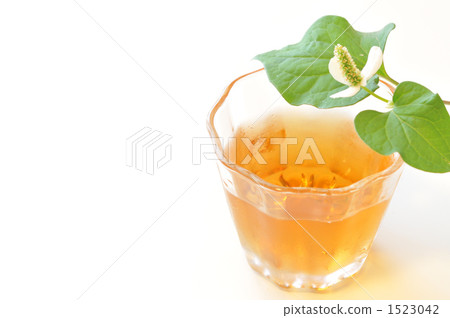 Dokudami tea 1523042