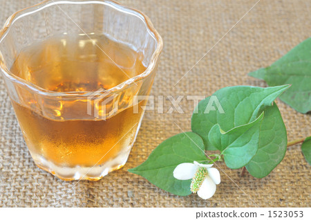 Dokudami tea Dokudami tea 1523053