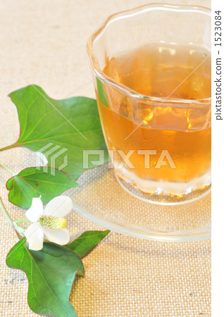 Dokudami茶 Dokudami茶 1523084