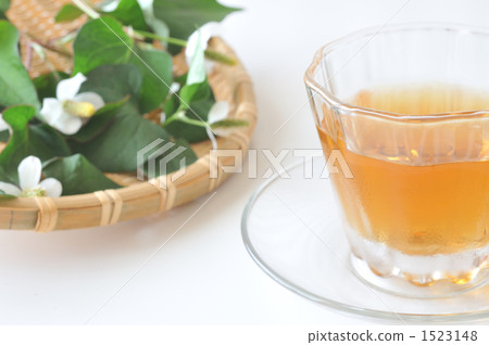 Dokudami tea 1523148