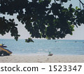 bower, tree shade, sand beach 1523347