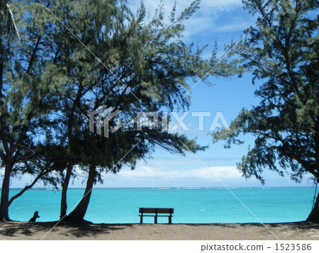 在威瑪納，夏威夷瓦胡島的波紋管海灘長凳1 1523586