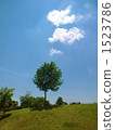 生長與樹的雲彩站立在小山 1523786