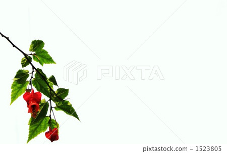 Red lamp Red lamp 1523805