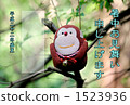 Monkey in the forest 1523936