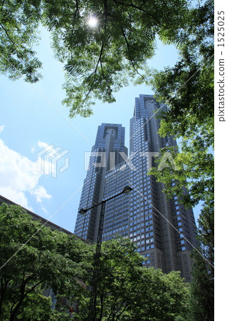 Street trees and Tokyo Metropolitan government 1525025