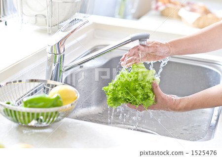 檸檬 家政 家務 1525476