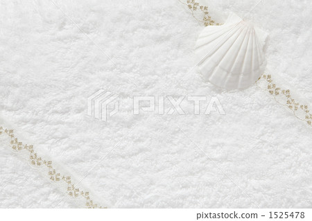 毛巾區（貝類）的Mosage板 1525478