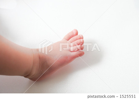 baby, feet, paw 1525551