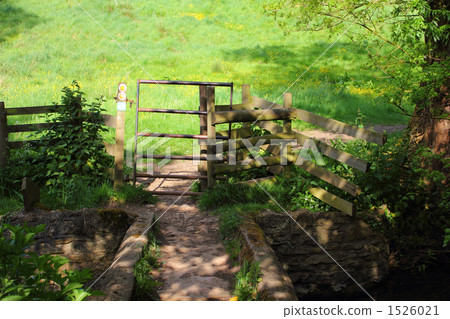 腳路徑門 1526021