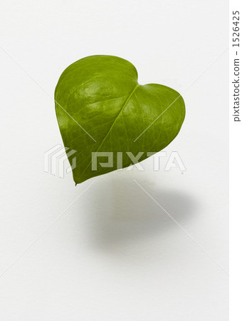 綠葉 心 生態學 1526425