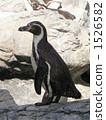 Penguin 1526582