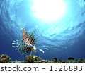 red lionfish, aquatic, in the water 1526893