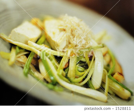 chinese onion, chinese scallion, japanese scallion 1528811