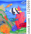 Colorful fish 1529099