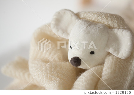 knit, knitted, knitted fabrics 1529130